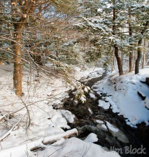 DQ266  North-Branch-Mink-Brook--Pan-(4).jpg